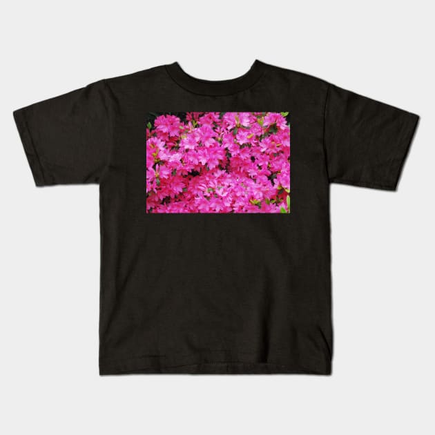 Pink Azalea Flowers Kids T-Shirt by jojobob